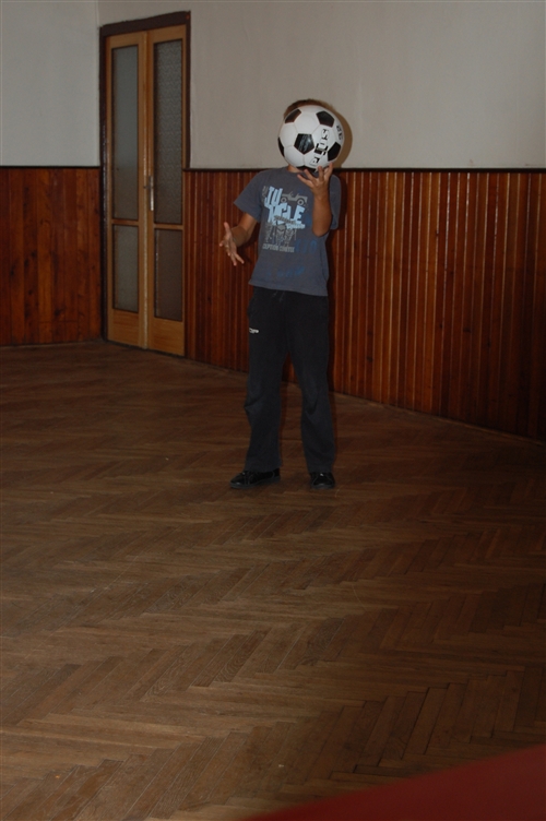 Obrázek v galerii